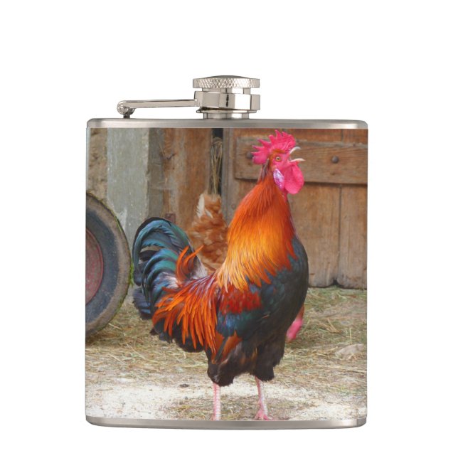 Rhode Island Red Rooster Crowing in Barnyard Hip Flask (Front)