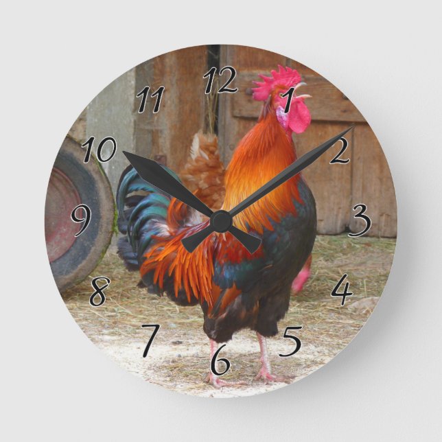 Rhode Island Red Rooster Crowing in Barnyard Round Clock (Front)
