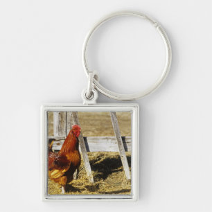 Rhode Island Red Rooster Key Ring
