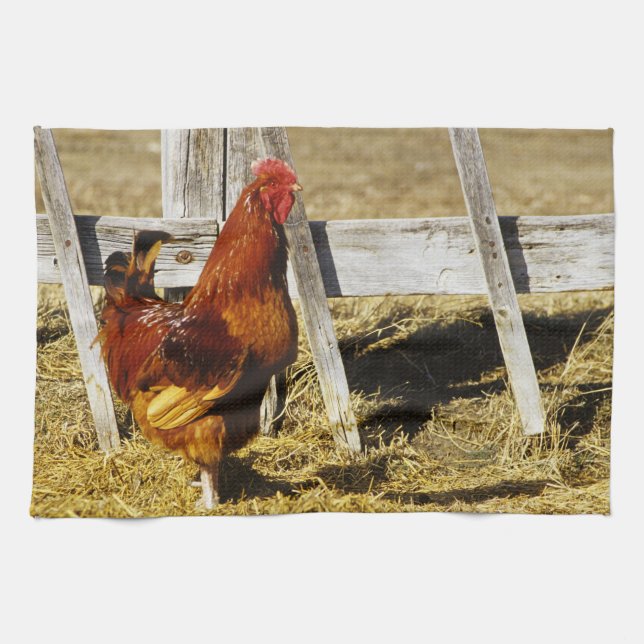 Rhode Island Red Rooster Tea Towel (Horizontal)