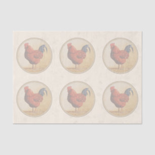 Rhode Island Red Rooster Yellow Background Tissue Paper