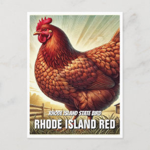 Rhode Island State Bird Rhode Island Red Postcard