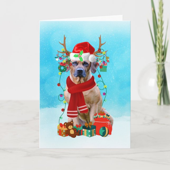 Rhodesian Rdgeback in snow with Christmas gifts Card (Front)