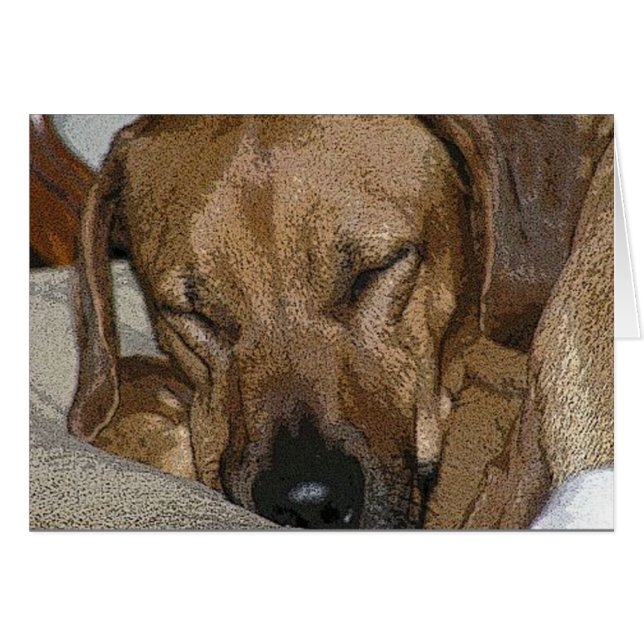 Rhodesian Ridgeback (Front Horizontal)