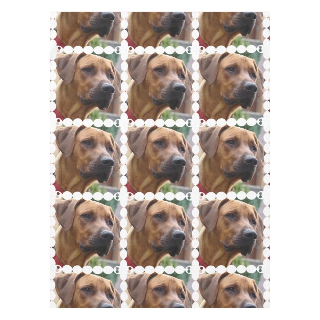 rhodesian-ridgeback-5 tablecloth (Front)