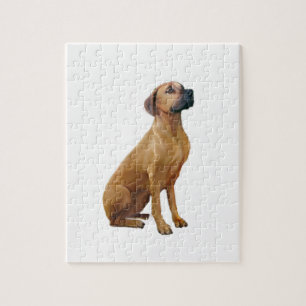 Rhodesian Ridgeback (A) Jigsaw Puzzle
