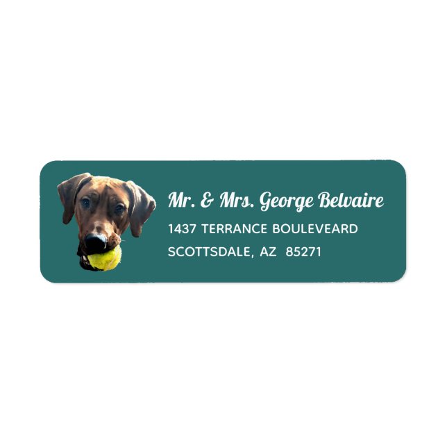 Rhodesian Ridgeback Address Labels (Front)