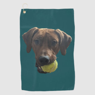 Rhodesian Ridgeback at Play Golf Towel
