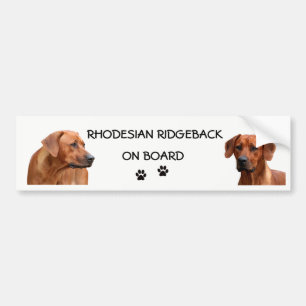 Rhodesian Ridgeback bumper ticker Sticker