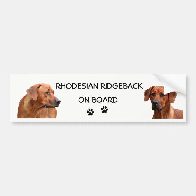 Rhodesian Ridgeback bumper ticker Sticker (Front)