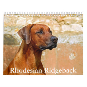 Rhodesian Ridgeback Calendar