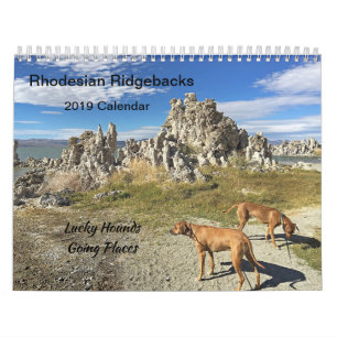 Rhodesian Ridgeback Calendar 2019 Going Places