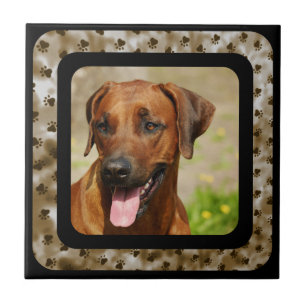 RHODESIAN RIDGEBACK CERAMIC TILE