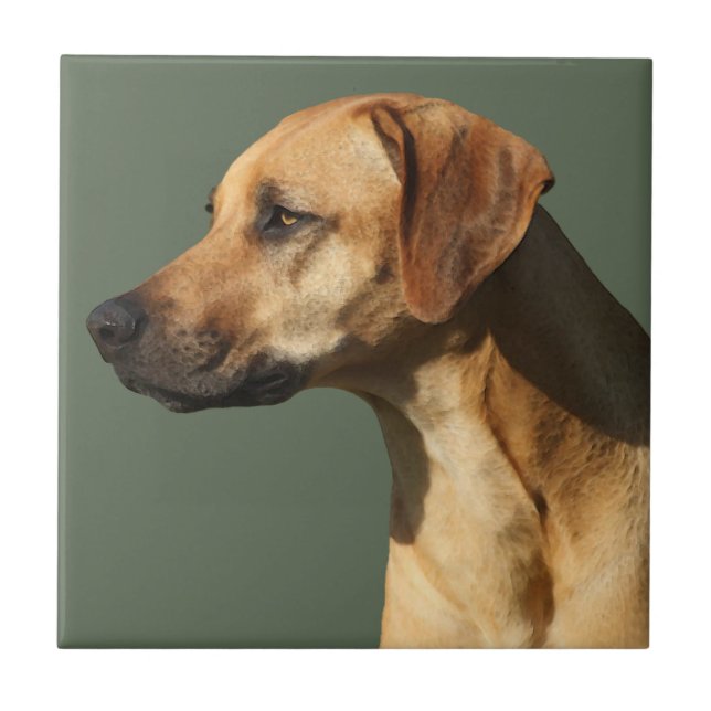 Rhodesian Ridgeback Ceramic Tile (Front)