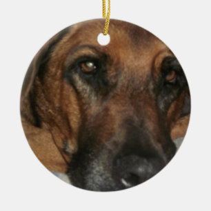Rhodesian Ridgeback Ceramic Tree Decoration