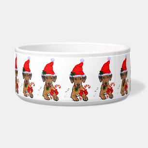 Rhodesian Ridgeback Christmas 