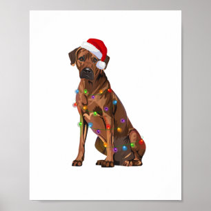 Rhodesian Ridgeback Christmas Lights Xmas Dog Love Poster