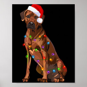 Rhodesian Ridgeback Christmas Lights Xmas Dog Love Poster