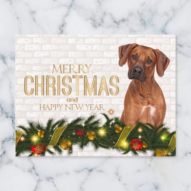 Rhodesian Ridgeback Christmas Postcard (Rhodesian Ridgebacks make the holidays bright.)