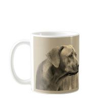 Rhodesian Ridgeback coffee sulk