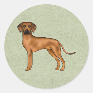 Rhodesian Ridgeback Cute African Lion Dog Green Classic Round Sticker