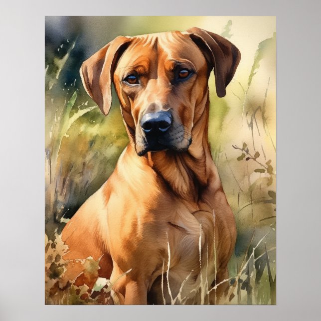 Rhodesian Ridgeback Dog Art Print Poster (Front)