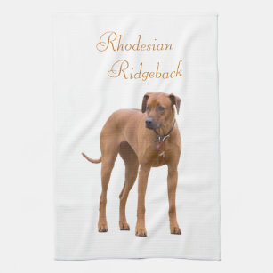 Rhodesian Ridgeback dog beautiful photo, gift Tea Towel