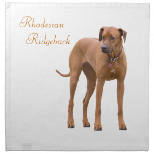 Rhodesian Ridgeback dog beautiful photo Napkin