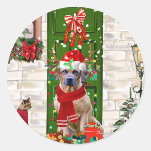 Rhodesian Ridgeback Dog Christmas  Classic Round Sticker
