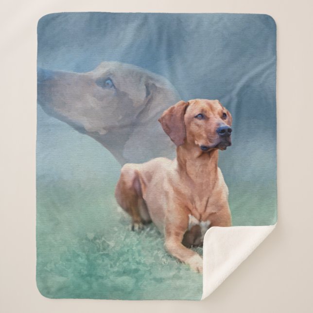 Rhodesian Ridgeback Dog Collage Sherpa Blanket (Front)