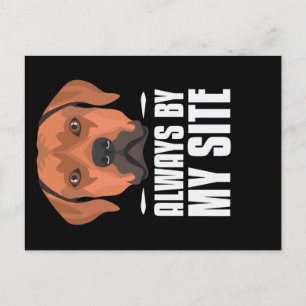 Rhodesian Ridgeback Dog Hair Glitter Postcard