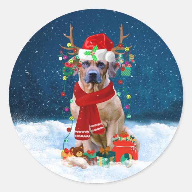 Rhodesian Ridgeback Dog in Snow Christmas Gift  Classic Round Sticker (Front)
