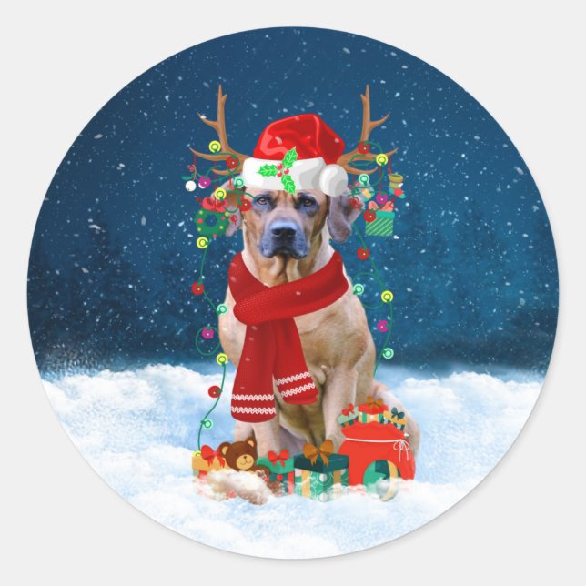 Rhodesian Ridgeback Dog in Snow Christmas Gift Classic Round Sticker (Front)