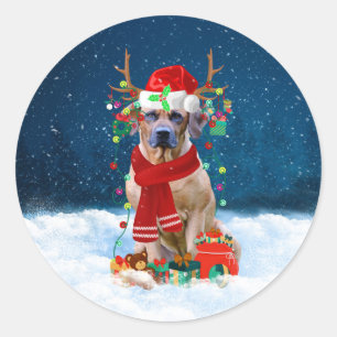 Rhodesian Ridgeback Dog in Snow Christmas Gift Classic Round Sticker