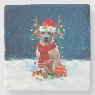 Rhodesian Ridgeback Dog in Snow Christmas Gift Stone Coaster
