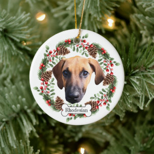 Rhodesian Ridgeback dog Personalised Pet Ornament