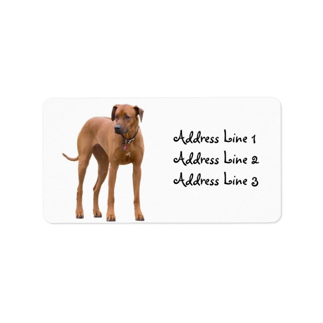 Rhodesian Ridgeback Dog Photo Address Label (Front)