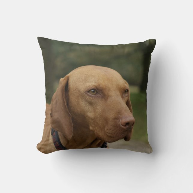 Rhodesian Ridgeback Dog Pillow (Front)