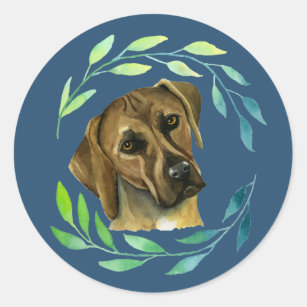 Rhodesian Ridgeback Dog Watercolor Painting Classic Round Sticker