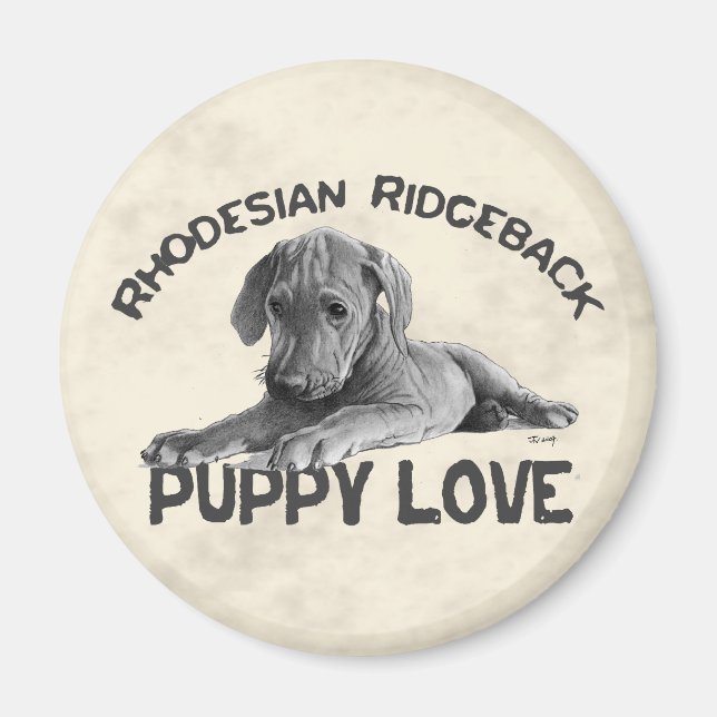 Rhodesian Ridgeback Drawing Magnet (Front)