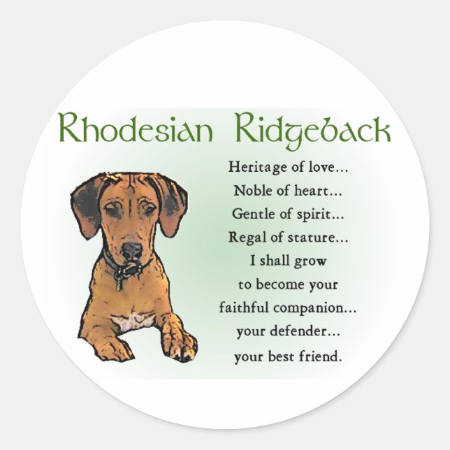 Rhodesian Ridgeback Gifts Classic Round Sticker (Front)
