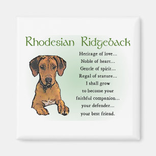 Rhodesian Ridgeback Gifts Magnet
