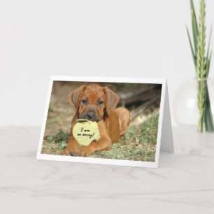 Rhodesian Ridgeback greeting card