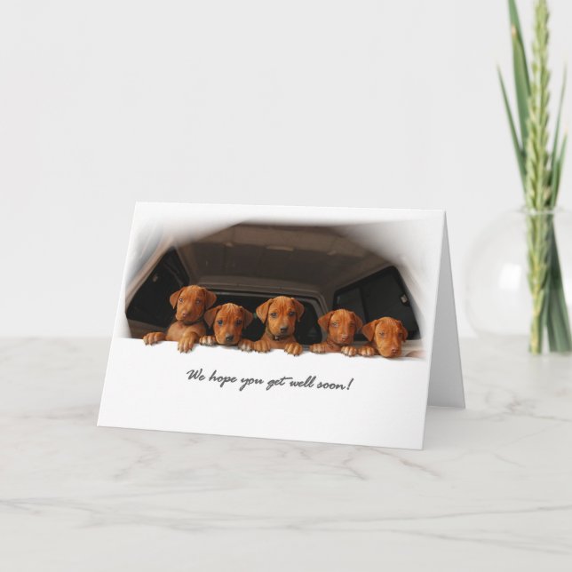 Rhodesian Ridgeback greeting card - Get well soon (Front)