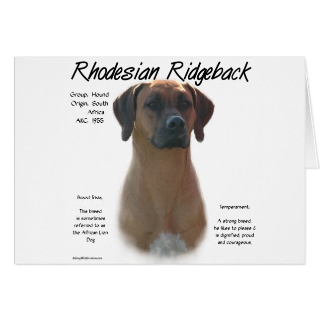 Rhodesian Ridgeback History Design (Front Horizontal)