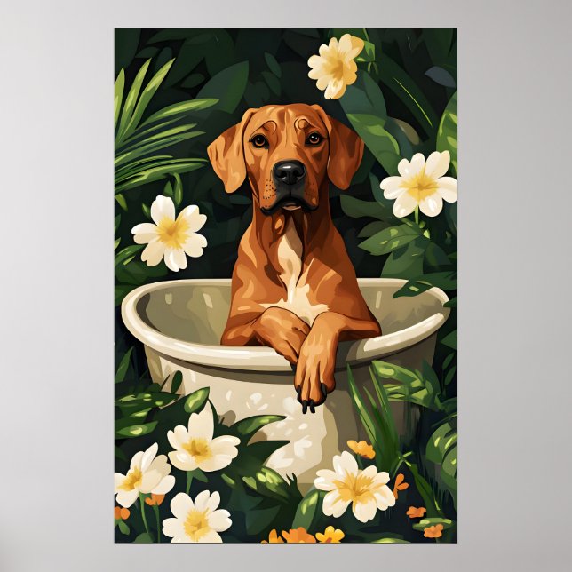 Rhodesian Ridgeback In Bathtub Poster, Funny Dog Poster (Front)