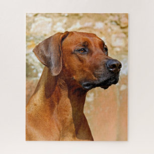 Rhodesian Ridgeback Jigsaw Puzzle