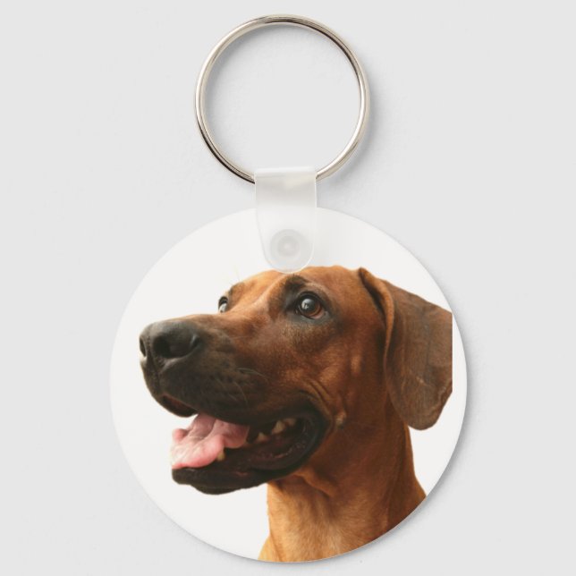 Rhodesian Ridgeback Key Ring (Front)