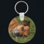 Rhodesian Ridgeback Keychain<br><div class="desc">We've got Rhodesian Ridgebacks strong and handsome – and we've got them small and cute! Our designs feature adult Lion Dogs and puppies alike,  a definite must see for every Rhodesian Ridgeback dog lover!</div>
