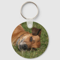 Rhodesian Ridgeback Keychain